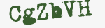 Enter these letters in the box below
