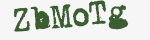 Enter these letters in the box below
