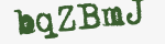 Enter these letters in the box below