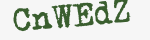 Enter these letters in the box below