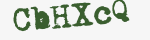 Enter these letters in the box below
