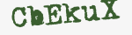Enter these letters in the box below