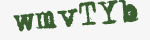 Enter these letters in the box below