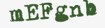 Enter these letters in the box below