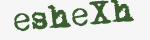 Enter these letters in the box below