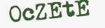Enter these letters in the box below