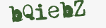 Enter these letters in the box below