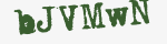 Enter these letters in the box below