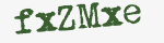 Enter these letters in the box below