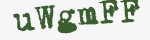 Enter these letters in the box below