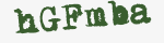 Enter these letters in the box below