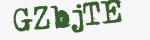 Enter these letters in the box below