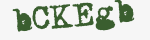 Enter these letters in the box below