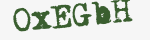 Enter these letters in the box below