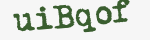 Enter these letters in the box below