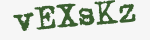 Enter these letters in the box below