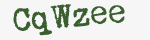 Enter these letters in the box below