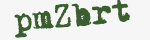 Enter these letters in the box below