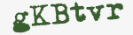 Enter these letters in the box below