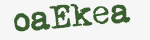 Enter these letters in the box below