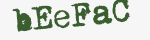 Enter these letters in the box below